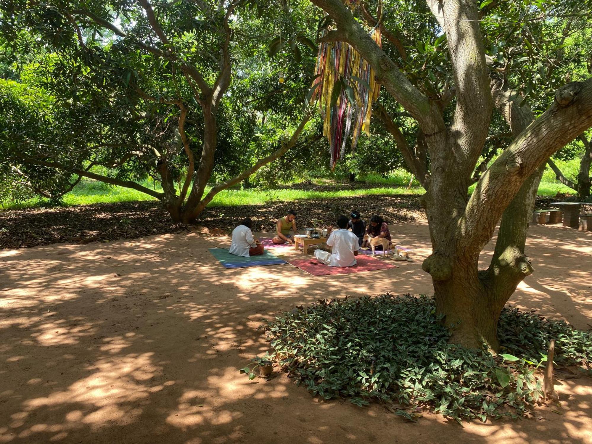 Art Forest Pondicherry Eksteriør bilde